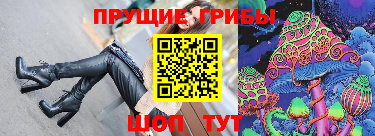 Благодарный  Псилоцибиновые грибы ЛСД  Вход с VPN  Галлюциногенные грибы Psilocybe 